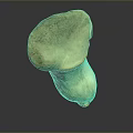 Fresh Brown Cap Mushroom With White Stem On Dark Reflective Background